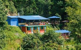 Jungle Crown Organic Homestay